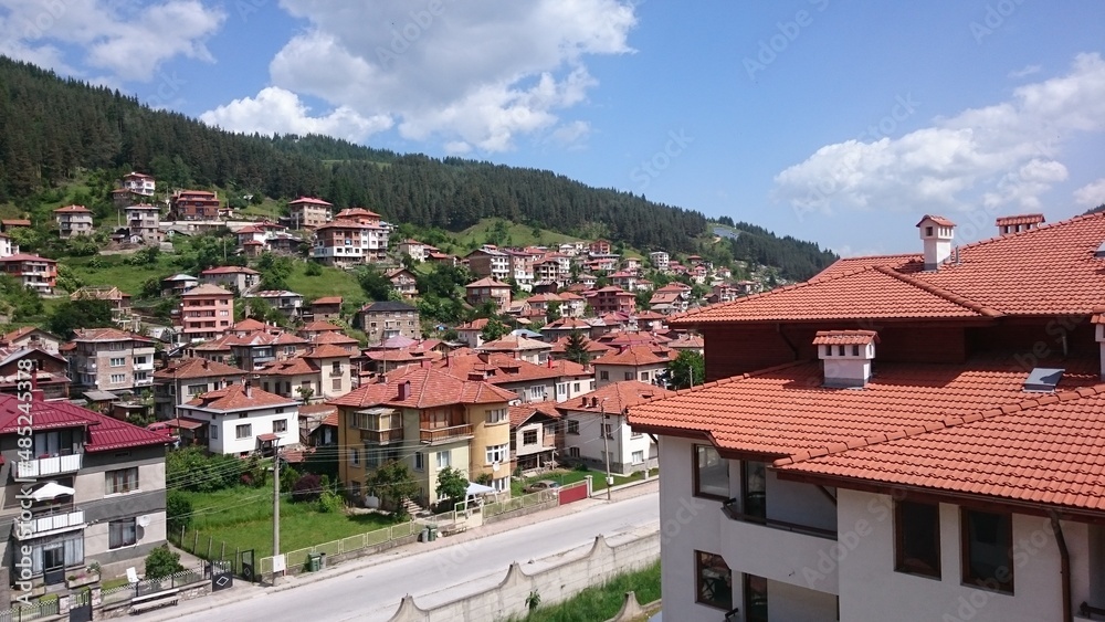 Obraz premium Buildings food drinks animals