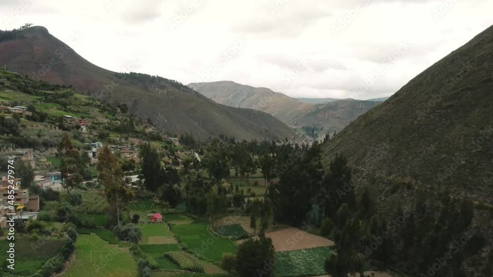 hermosos paisaje terrenos de cultivo y ganado (chacras), peruano Junín perú hermosos paisaje terrenos de cultivo y ganado (chacras), peruano Junín perú
