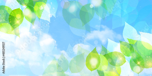 新緑　葉　風景　背景