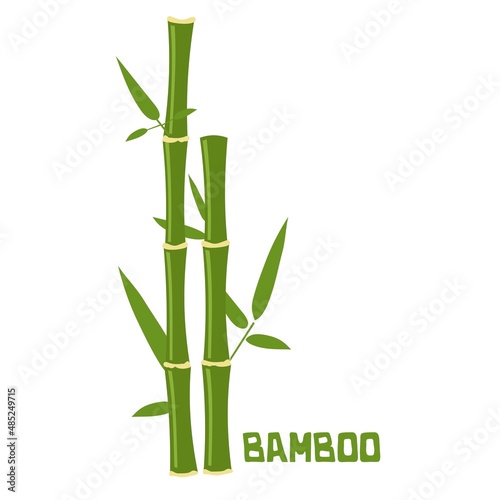 bamboo sticks with leaves