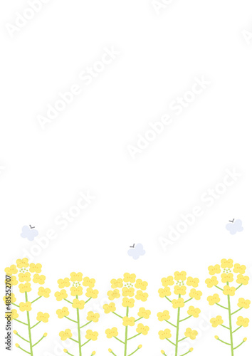 菜の花菜の花の背景イラスト
