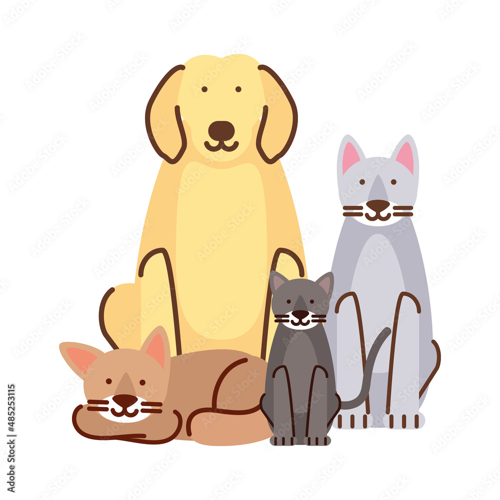 pets dog and cats pets dog and cats