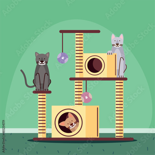 cats playing in cat house