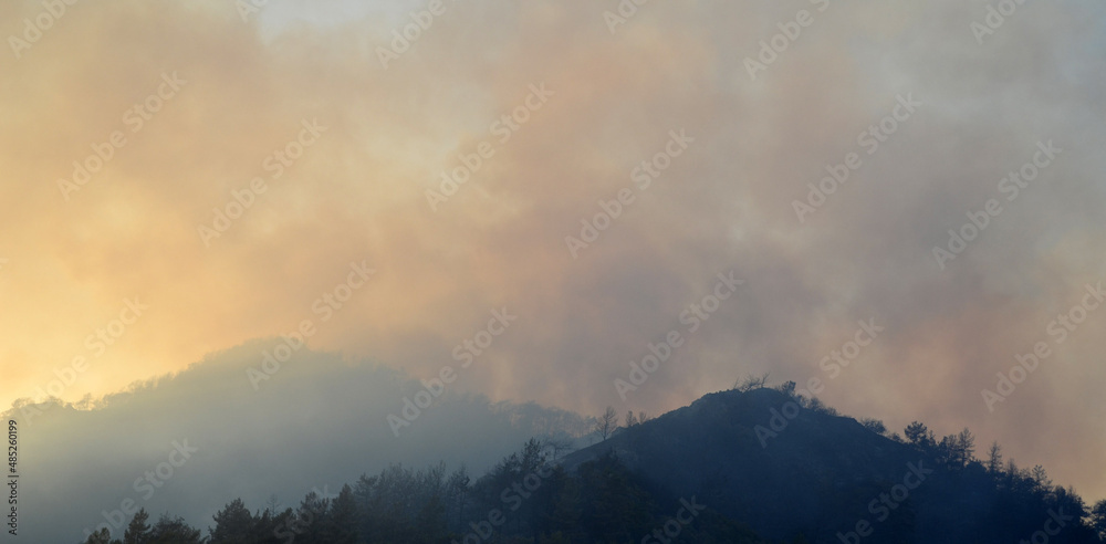 Wildfire in the forest near a resort town.Marmaris, Turkey. Summer 2021