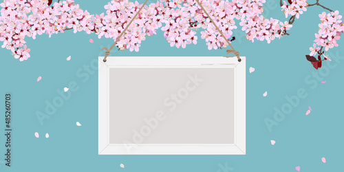 Cherry blossoms in full bloom and hanging whiteboard. mockup, copy space, vector illustration, announcement, message, sign, flyer, poster, website, banner, header, spring flower, celebration, graphic,