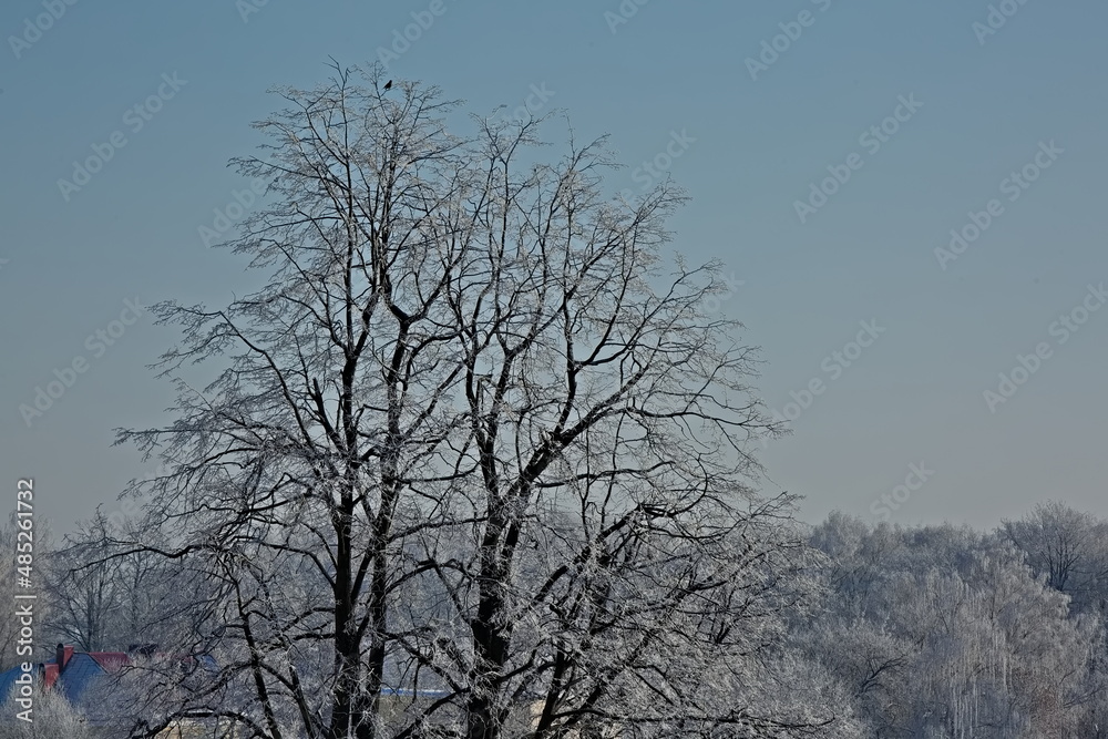 Frosty day on the outskirts of Moscow.