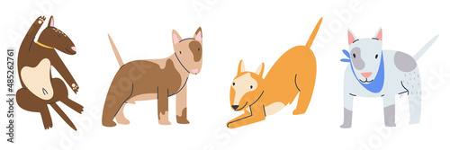 Dog puppy stands  lies  sleeps. Collection of Cute pets isolated on white background. Flat vector illustration.