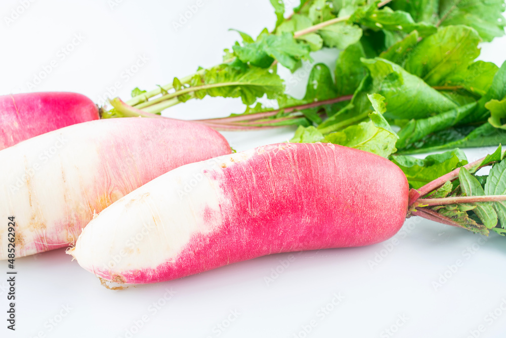 Fresh organic vegetables ruby fruit radish on white background Fresh organic vegetables ruby fruit radish on white background