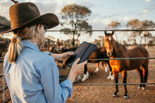 Cowgirl holding iPad looking at horses in a yard photo