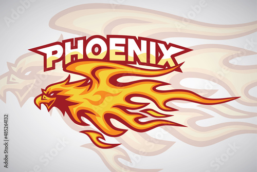 Fire Phoenix Eagle Bird Logo Burning  Mascot Flame Sports Mascot Design Vector