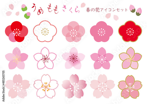 梅・桃・桜＿春の花アイコンセット