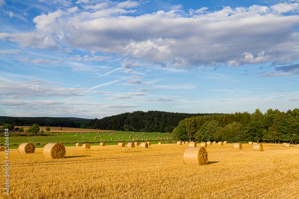 Fototapeta premium Strohballen Strohrollen Feld