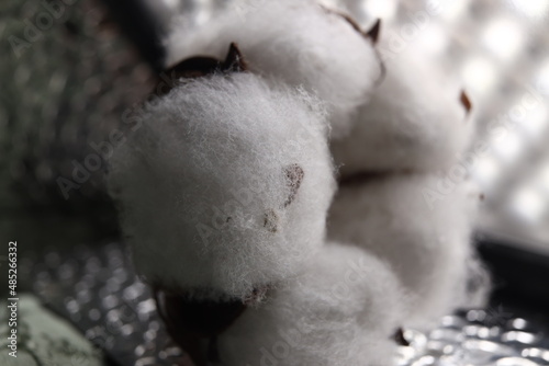macro photo of cotton background blurred