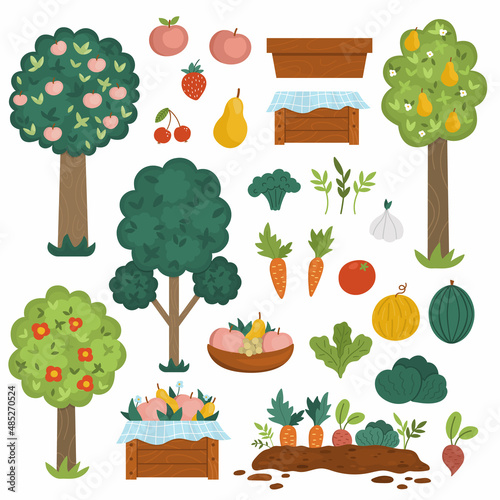 Vector garden fruit trees and harvest collection. Vegetables and fruit icons set. Wooden boxes with harvest. Farm country pack with plants, berries, veggies. Apples, carrot, tomato illustration