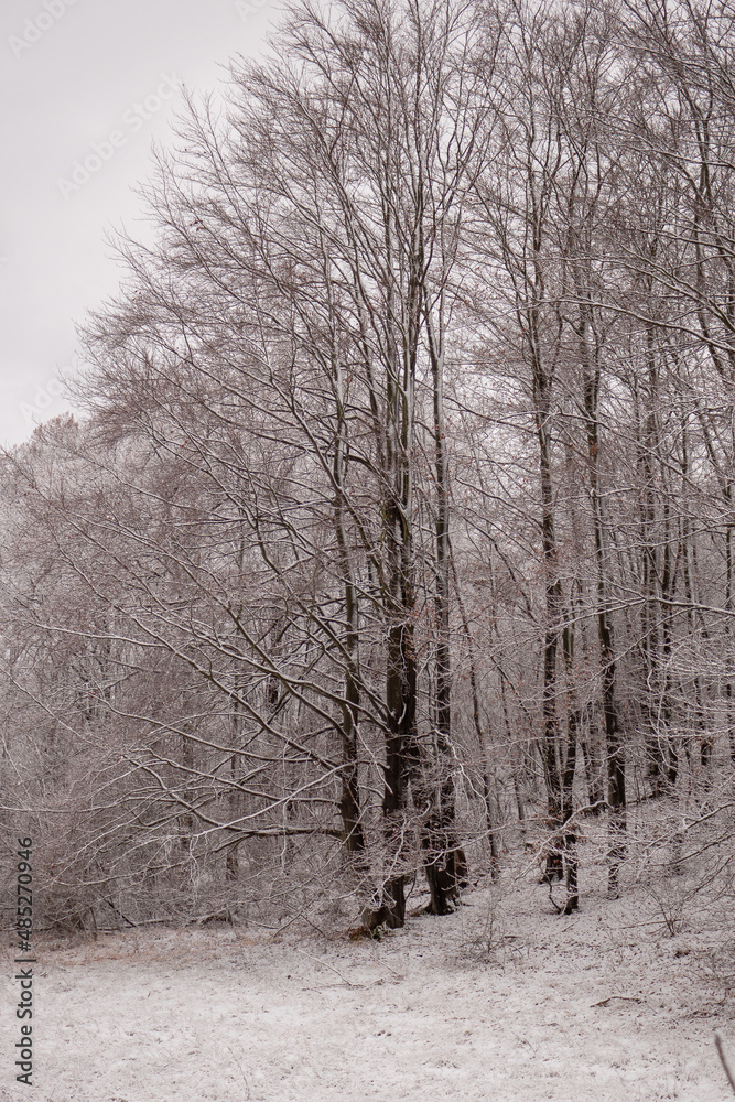 Obraz premium Landschaft im Winter
