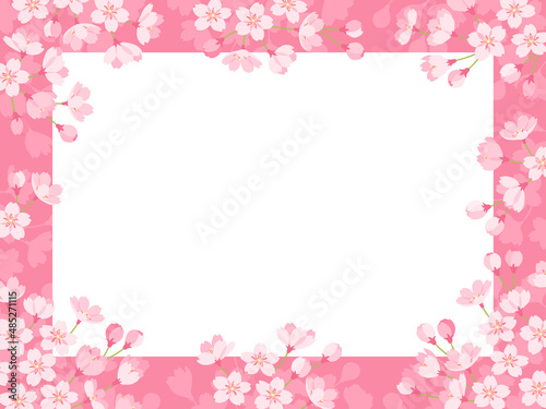 ピンクの桜のフレーム © Nora Hachio