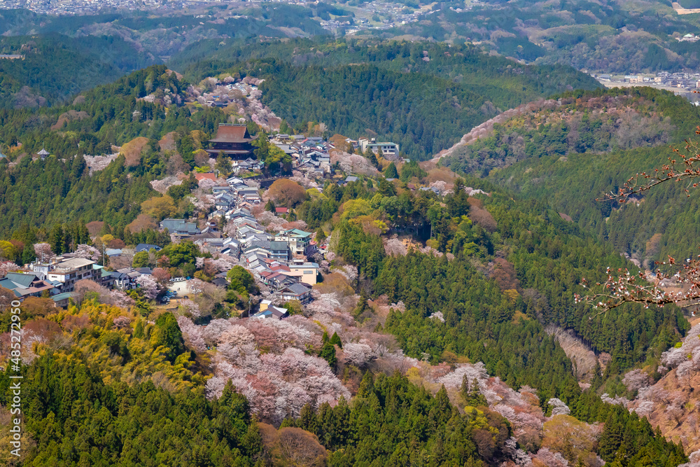 春の奈良県・吉野山で見た、上千本周辺の桜と金峯山寺