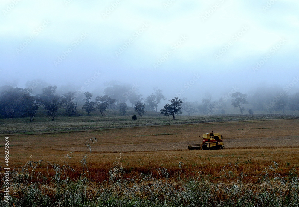 Fototapeta premium tractor in a field