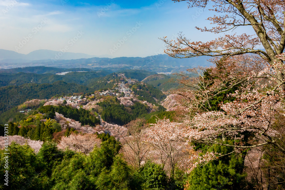 春の奈良県・吉野山で見た、上千本周辺の桜と快晴の青空