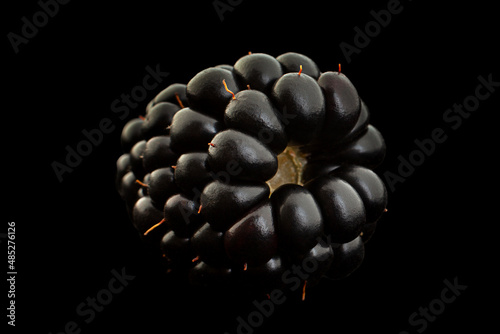 Photos Blackberry berry closeup