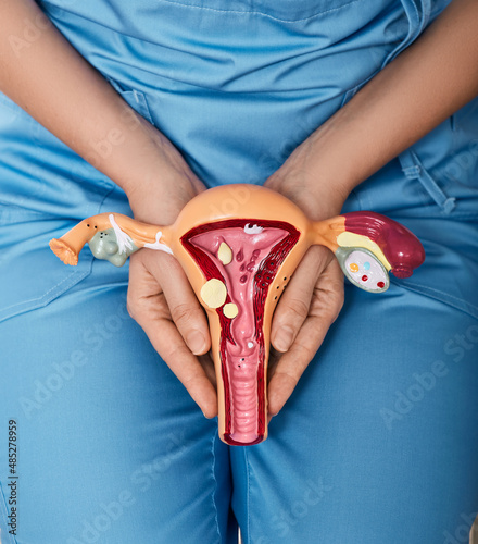 Gynecology concept, women health and female reproductive system. Gynecologist showing anatomical model of uterus and ovaries