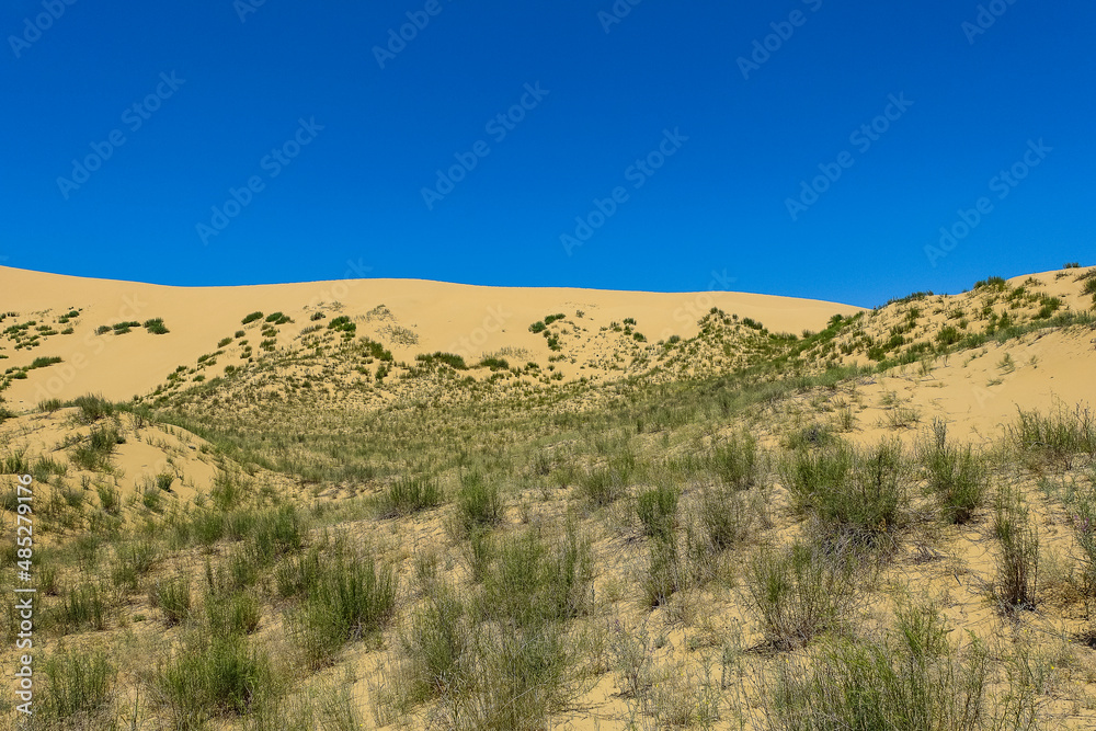 Sand dunes of the Sarykum dune. A natural monument. Dagestan. Russia.