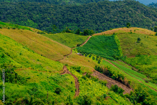 Natural background of the atmosphere in the garden house, surrounded by rice fields, plants, rice fields, reservoirs, and there is a seat to relax and watch the wind blowing through the cool blur.