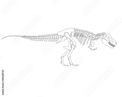 Tyrannosaurus Rex dinosaur skeleton silhouette in isolate on white background. Vector illustration.