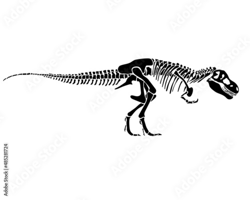 Tyrannosaurus Rex dinosaur skeleton silhouette in isolate on white background. Vector illustration.