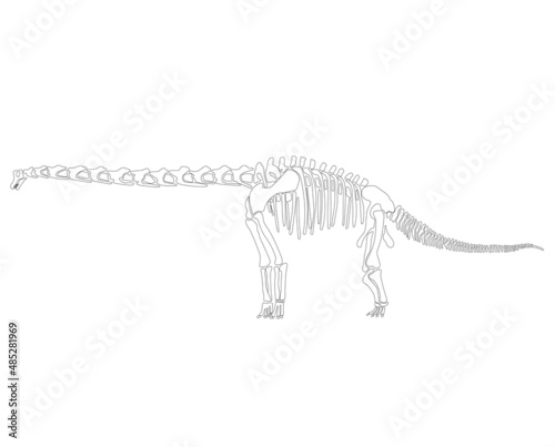 Graphic skeleton of an abrosaurus dinosaur on a white background. Vector illustration.