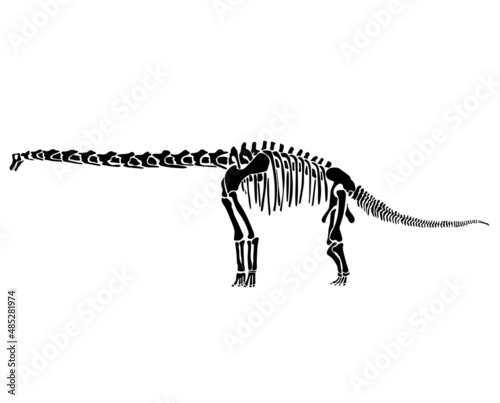 Graphic skeleton of an abrosaurus dinosaur on a white background. Vector illustration.