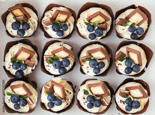 Set of chocolate cupcakes with whipped cream white top decorated with blueberries and chocolate cookies. Top view