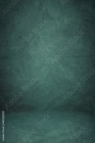 Green Background Studio Portrait Backdrops Photo 4K