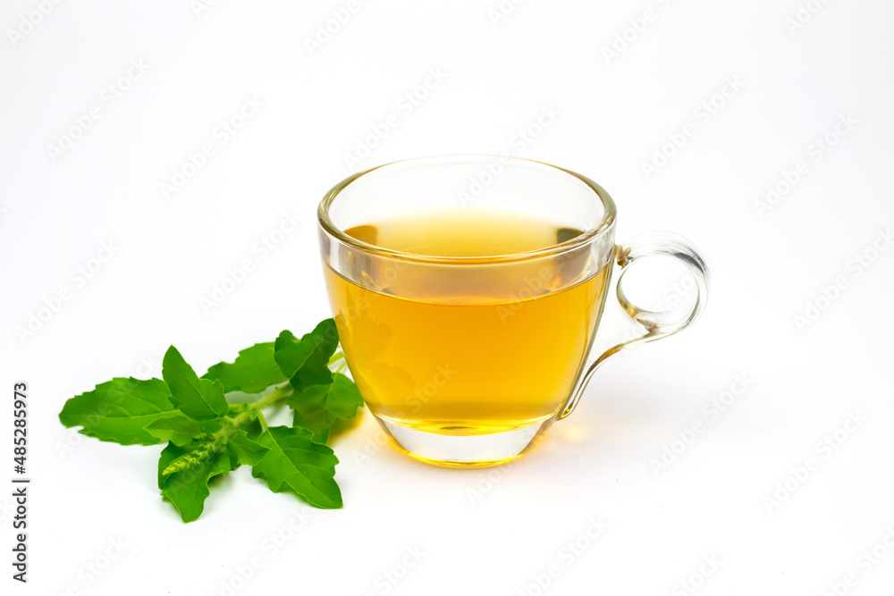 Tulsi or holy basil tea in transparent cup with fresh tulsi leaf isolated on white background. Ayurvedic medicine in India. Drink for health.