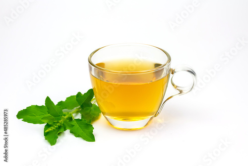 Tulsi or holy basil tea in transparent cup with fresh tulsi leaf isolated on white background. Ayurvedic medicine in India. Drink for health.