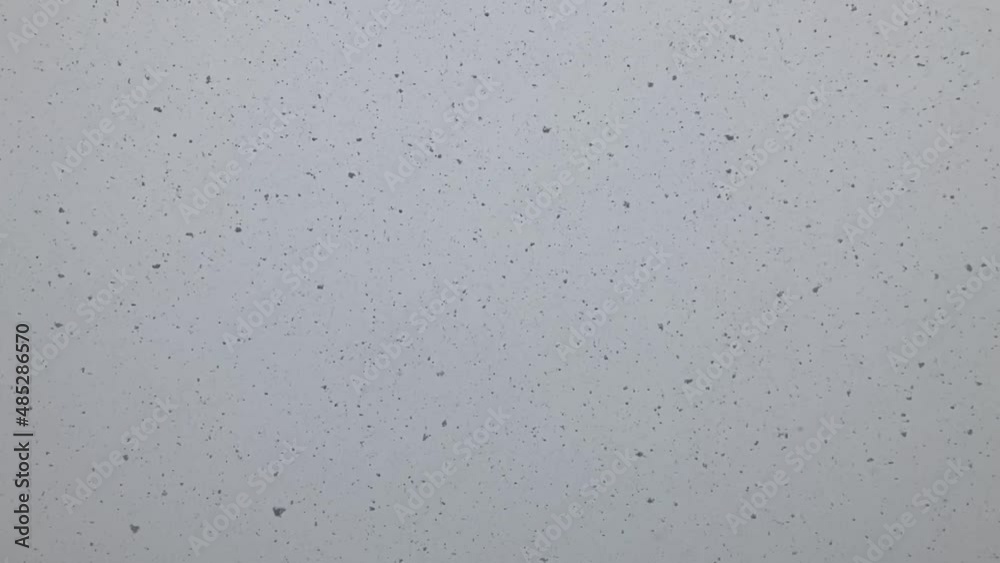 雪 スローモーション 雪 スローモーション