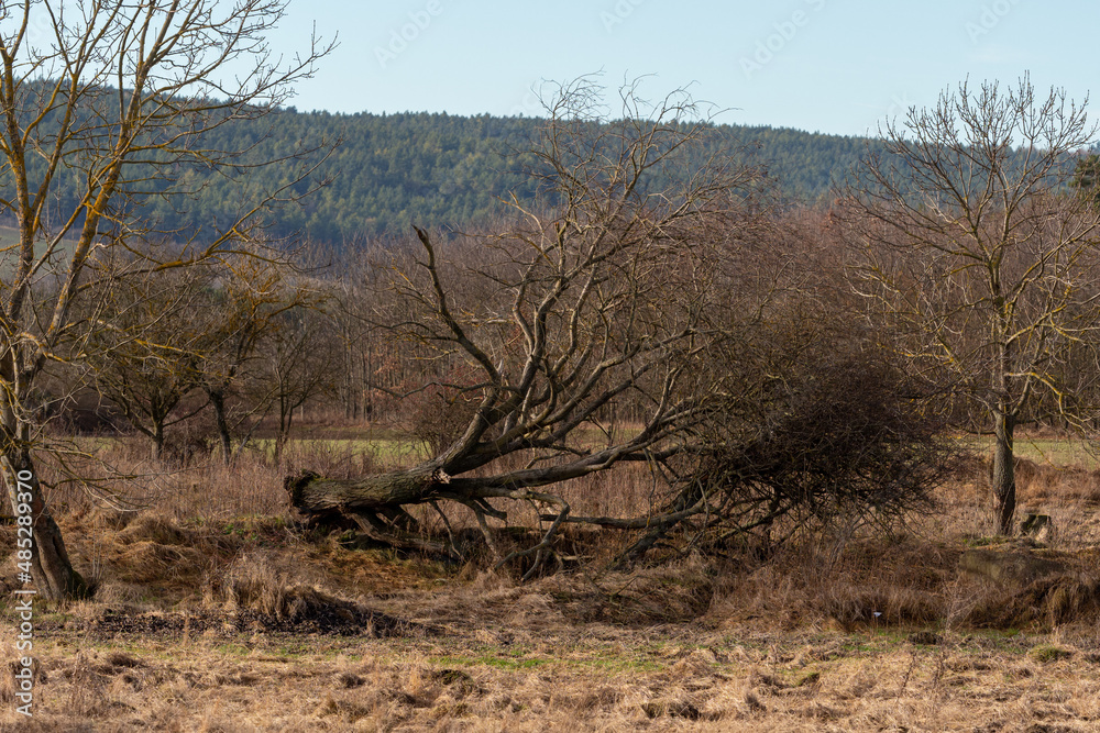 Landschaft im Winter ohne Schnee Landschaft im Winter ohne Schnee