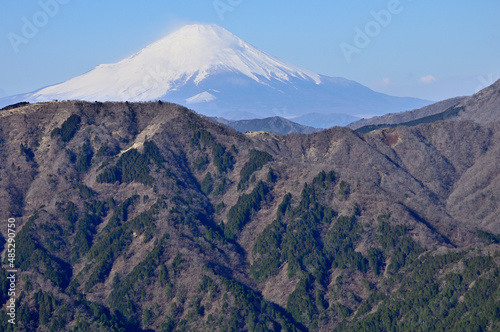 丹沢の大山北尾根より望む富士山と表尾根の山稜 丹沢 大山 大山北尾根より富士山、手前が三ノ塔 