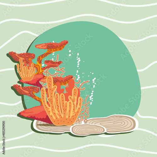 coral marine life