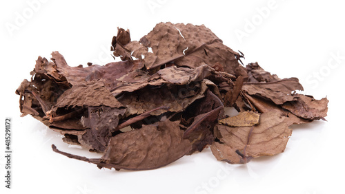 dried curry leaves isolated on background