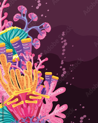 coral reef wildlife