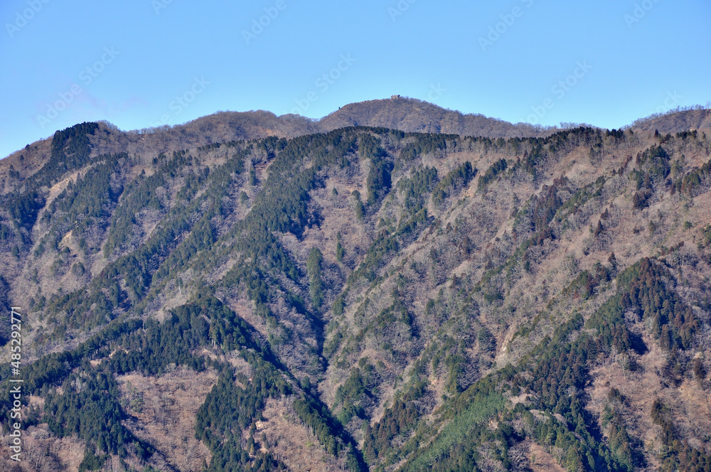 丹沢の大山北尾根　境沢ノ頭（境沢クドレ）より塔ノ岳を望む
丹沢　大山北尾根　境沢ノ頭（境沢クドレ）　新多摩線16号鉄塔より左から新大日、木ノ又大日、塔ノ岳
