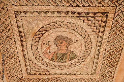 beautiful mosaic in archaeological site of Kourion