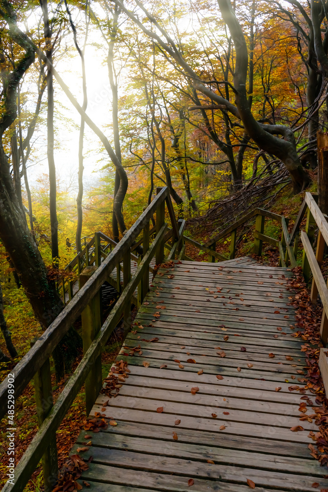 Wooden stairs leading through the forest and down a steep hill in warm autumn colors. Wooden stairs leading through the forest and down a steep hill in warm autumn colors.