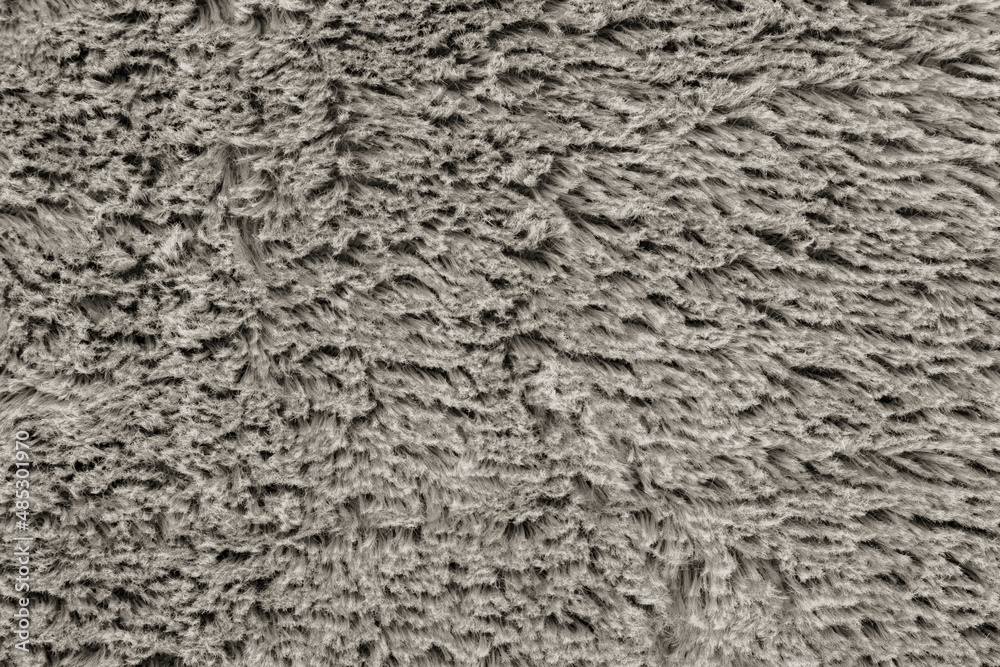 Thick fur - texture. Black and white background. Thick fur - texture. Black and white background.