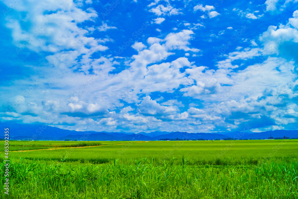 秋田県の田園風景