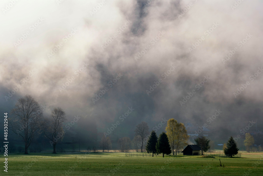 Mist hanging over an alpine meadow near Menzenschwand