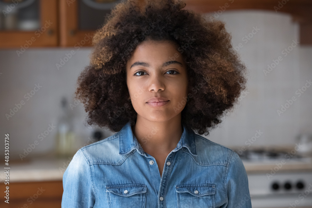 Pretty beautiful African American teen girl with Afro hairstyle looking at  camera, posing for shooting at home. Black teenage high school student,  teenage schoolgirl head shot portrait Stock Photo