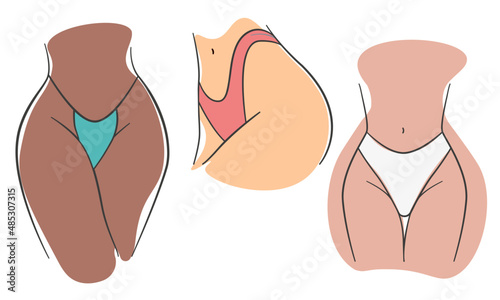 Set with woman body in pink and blue panties. Female lingerie vector illustration. Dark and light skin female body.