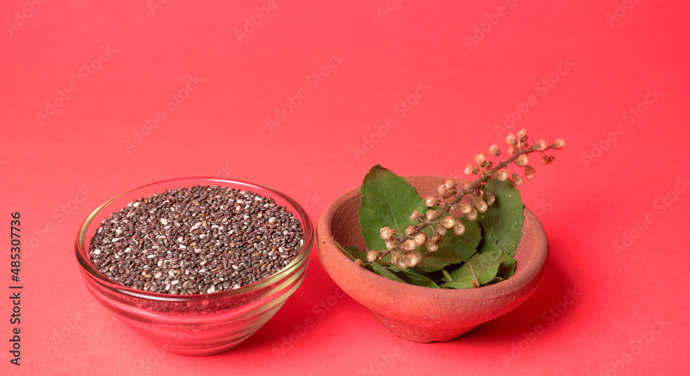 Holy basil, tulasi or tulsi, is an aromatic perennial plant in the family Lamiaceae.Tulsi is kept on earthenware.Is also known as Ayurvedic Tulsi (Queen of herbs).
Holy basil, tulasi or tulsi, is an aromatic perennial plant in the family Lamiaceae.Tulsi is kept on earthenware.Is also known as Ayurvedic Tulsi (Queen of herbs).